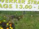 Blumenbeet in Lürrip Aktion 90.1 Foto Stefan Müller 04-2012