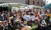 hoffest2011_b