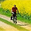 radfahrer-am-niederrhein1