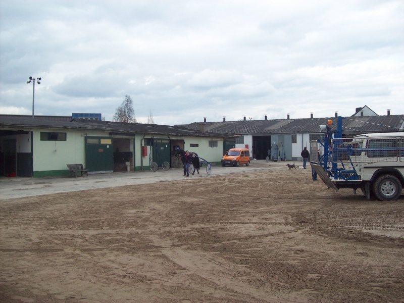 100_1833.jpg