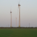 512.jpg