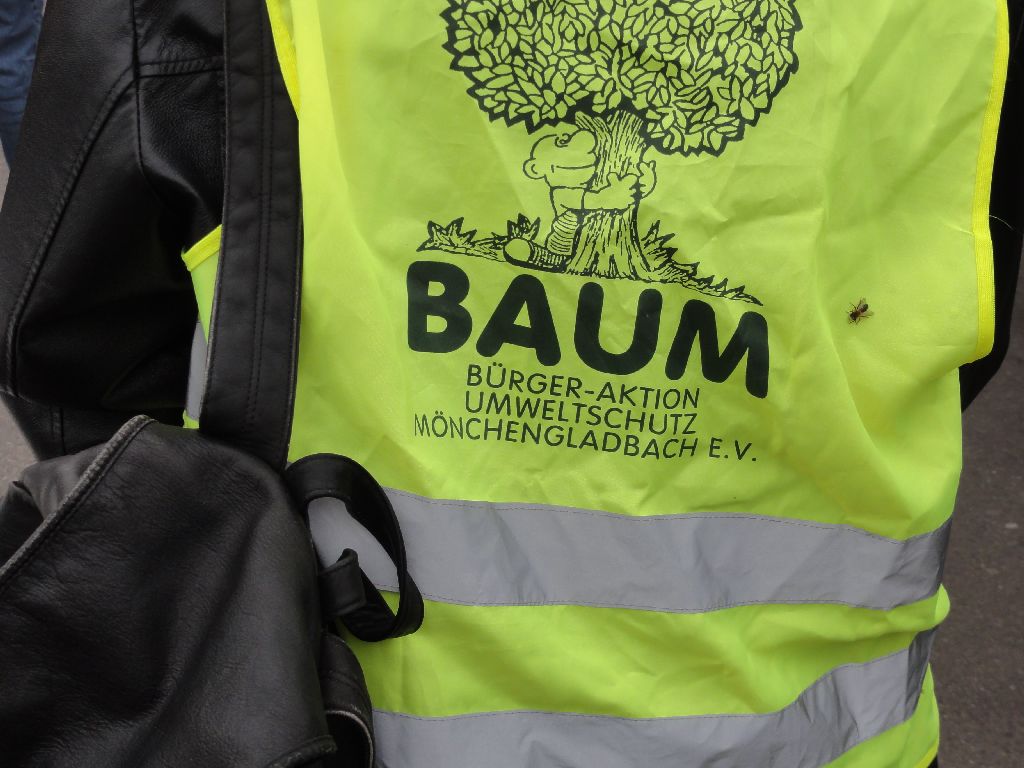 _mg_11_baum