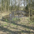 cimg3312