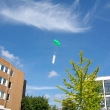 imgp2751