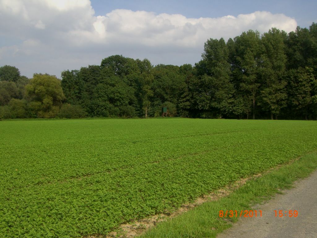 cimg3881