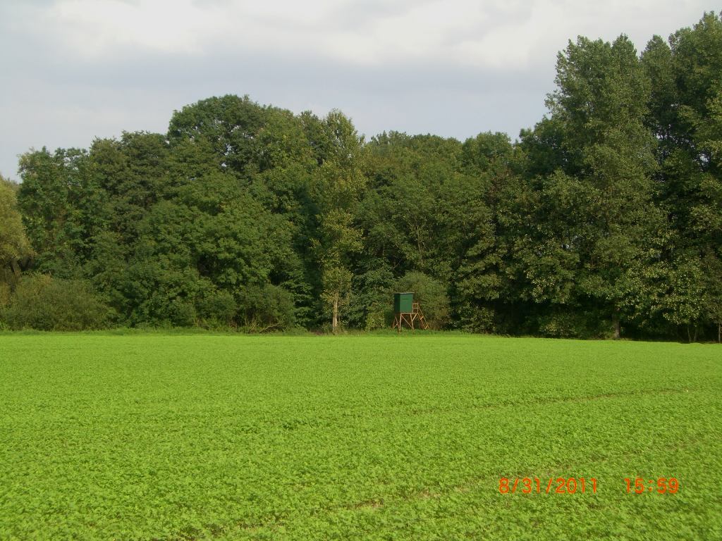cimg3882