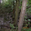cimg3855