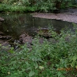 cimg3856