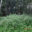 cimg3858