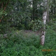 cimg3859