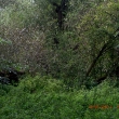 cimg3861