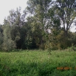 cimg3863