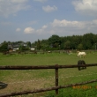 cimg3876