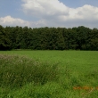 cimg3878