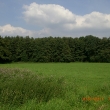 cimg3879