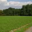 cimg3881
