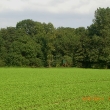 cimg3882