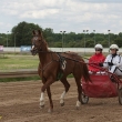 comp_mg trab speedwagen 12-06-10-01