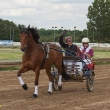 comp_mg trab speedwagen 12-06-10-03