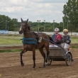 comp_mg trab speedwagen 12-06-10-04