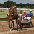 comp_mg trab speedwagen 12-06-10-15