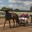 comp_mg trab speedwagen 12-06-10-17