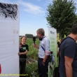 12-08-15 demo rwe 046