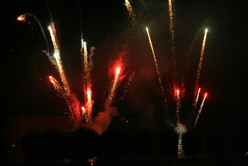festamsee-2014-46