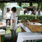festamsee-2014-54