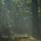 dscn2357