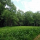 dscn8360
