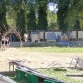 p1010375