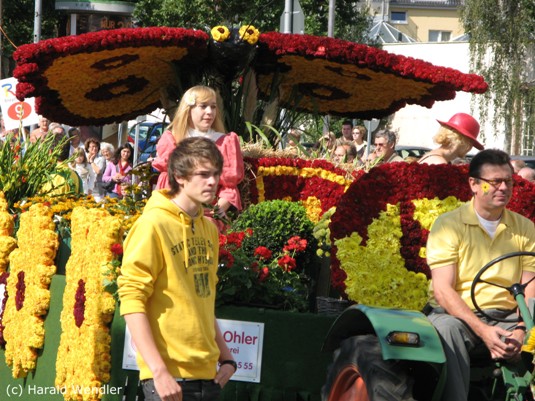 hw-blumenkorso-087.jpg