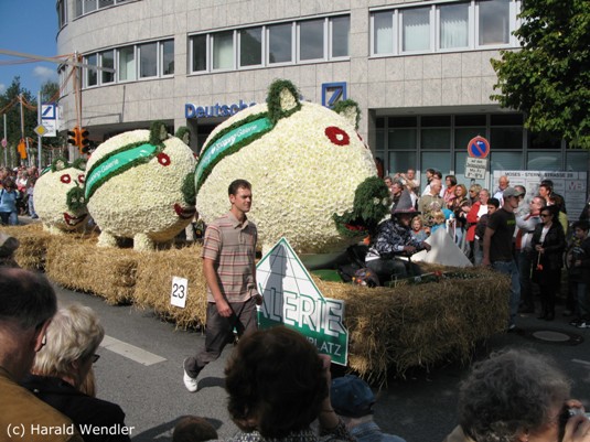 hw-blumenkorso-130.jpg