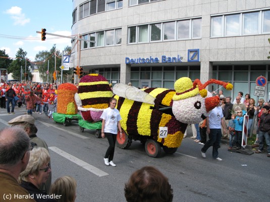 hw-blumenkorso-145.jpg