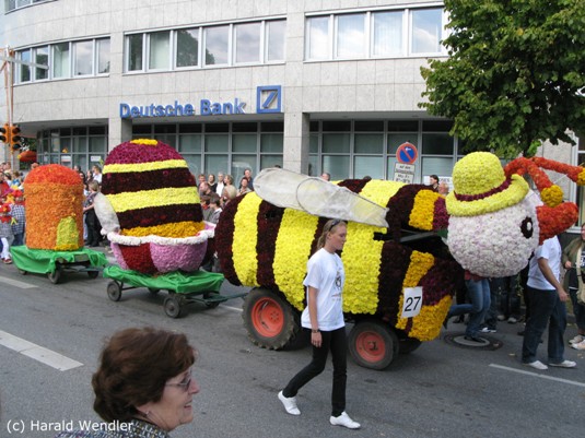 hw-blumenkorso-146.jpg
