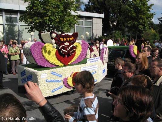hw-blumenkorso-171.jpg