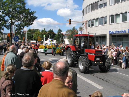 hw-blumenkorso-183.jpg