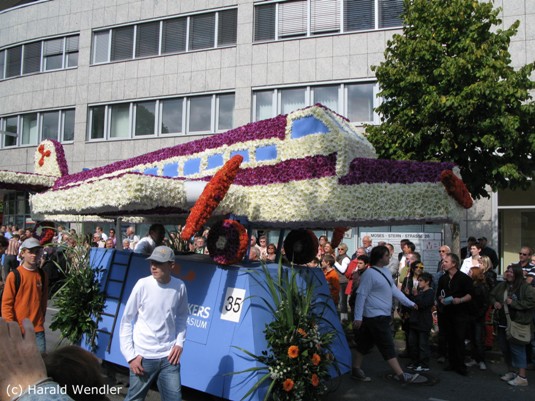 hw-blumenkorso-200.jpg