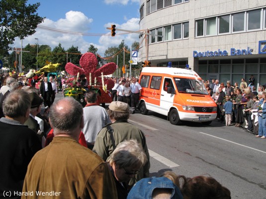 hw-blumenkorso-213.jpg