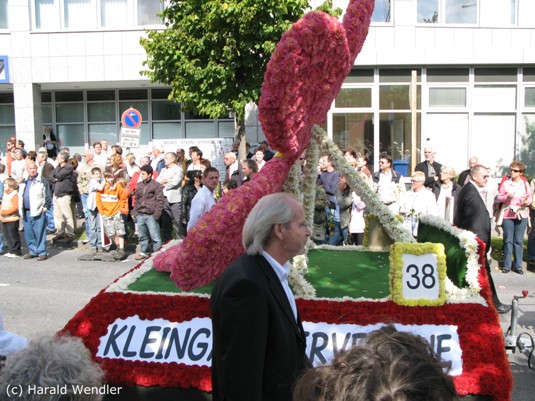 hw-blumenkorso-214.jpg