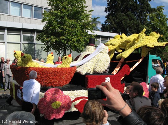 hw-blumenkorso-217.jpg