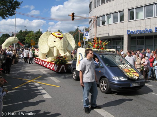 hw-blumenkorso-223.jpg