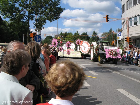 hw-blumenkorso-239.jpg