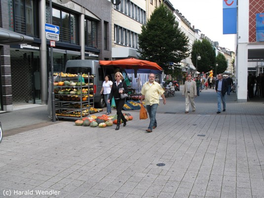hw-blumenkorso-256.jpg