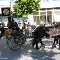 hw-blumenkorso-039.jpg