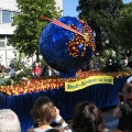 hw-blumenkorso-055.jpg