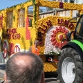 hw-blumenkorso-076.jpg