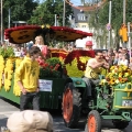 hw-blumenkorso-084.jpg