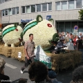 hw-blumenkorso-130.jpg